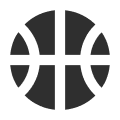 Icon Basketball Court