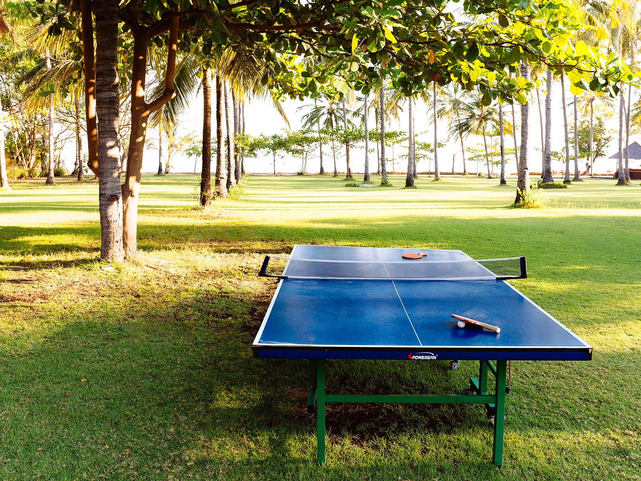010 the anandita table tennis anyone