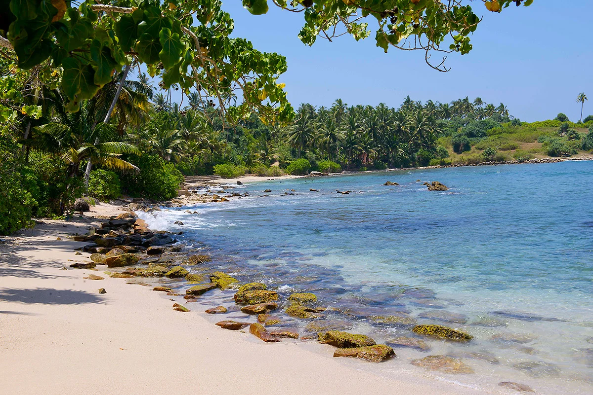 010evinslblueheights