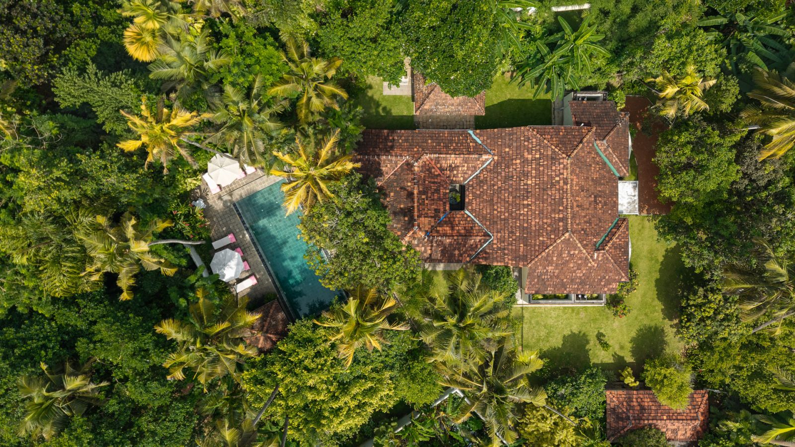 dji 20251204104028 0591 d 8664