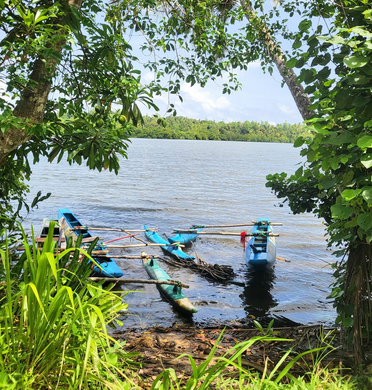 cannelle lake villa hikkaduwa 42